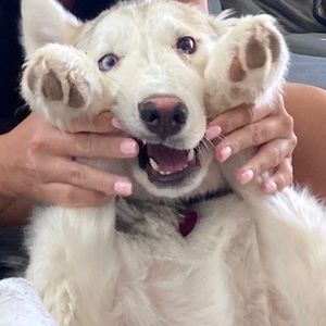 Meet your Posher, Desireeh